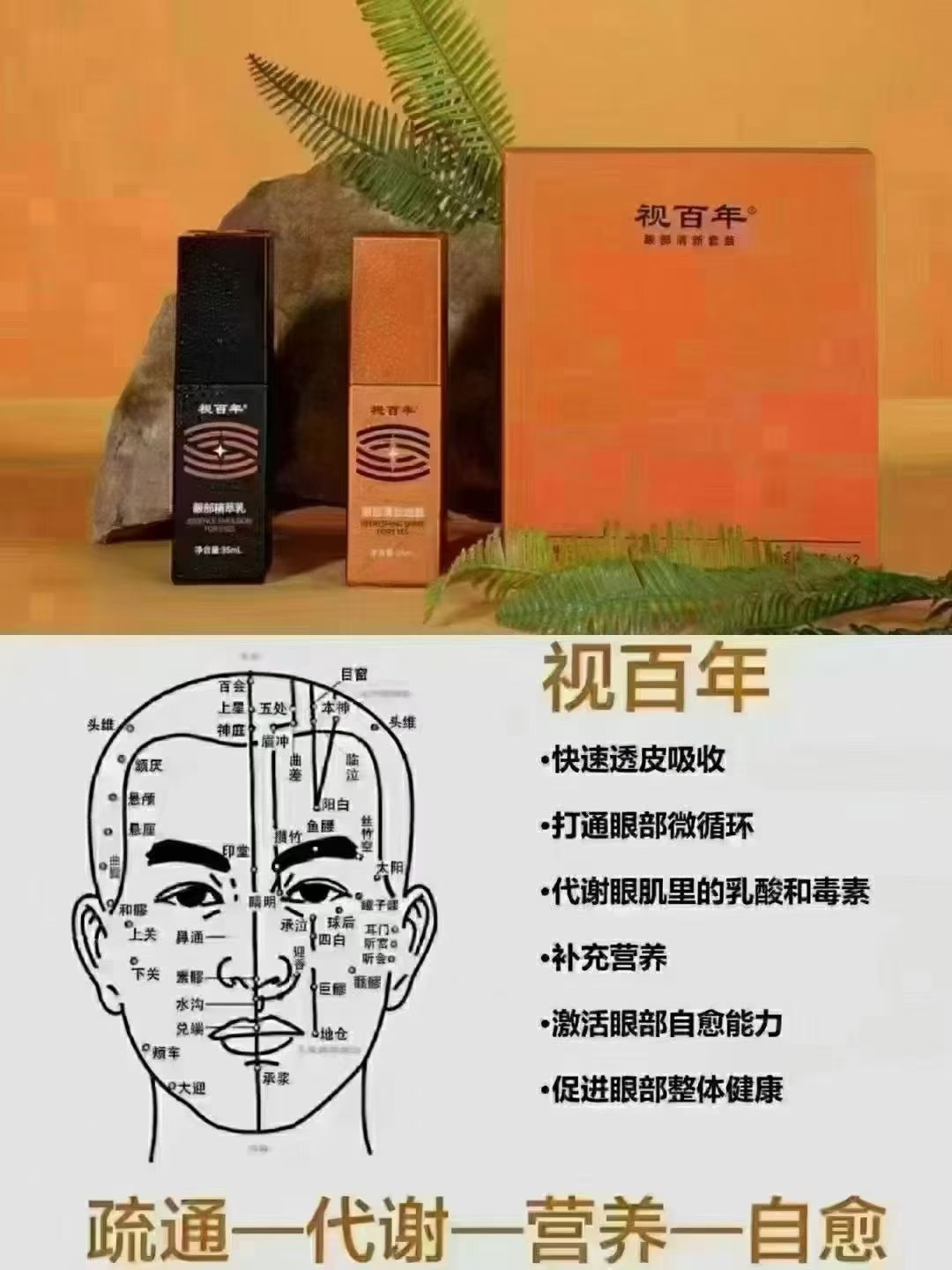 视百年